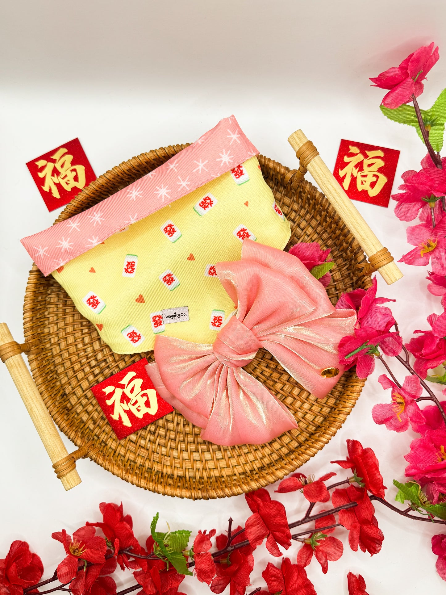 Bandana and Ethereal Bow Bundle