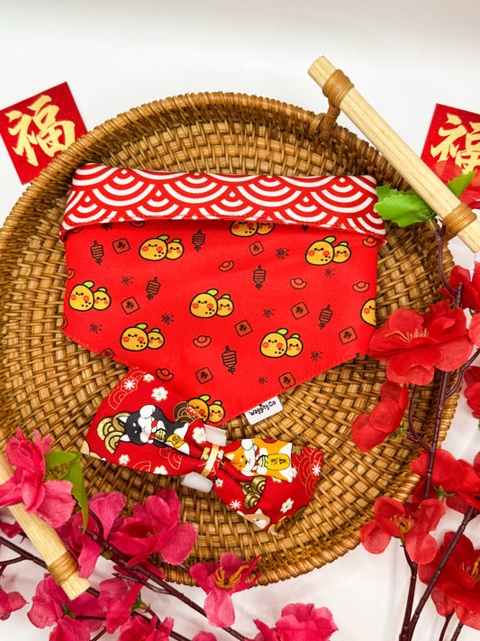 Bandana and Classic Bow Bundle