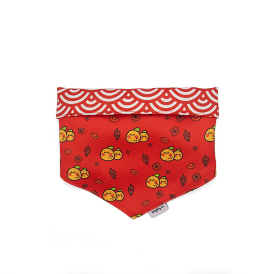 Pawsperous Spring Reversible Bandana