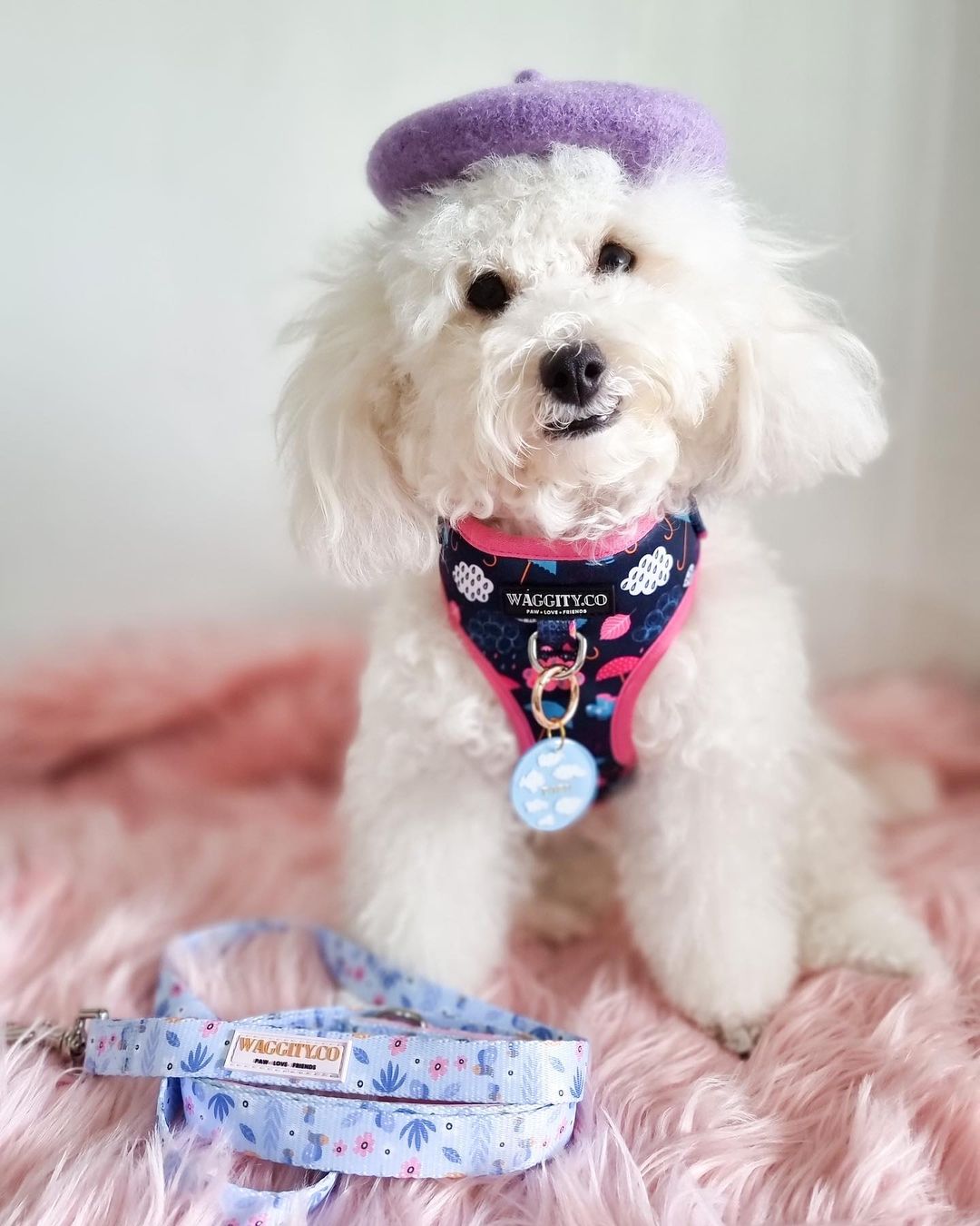 Summer Bloom Leash