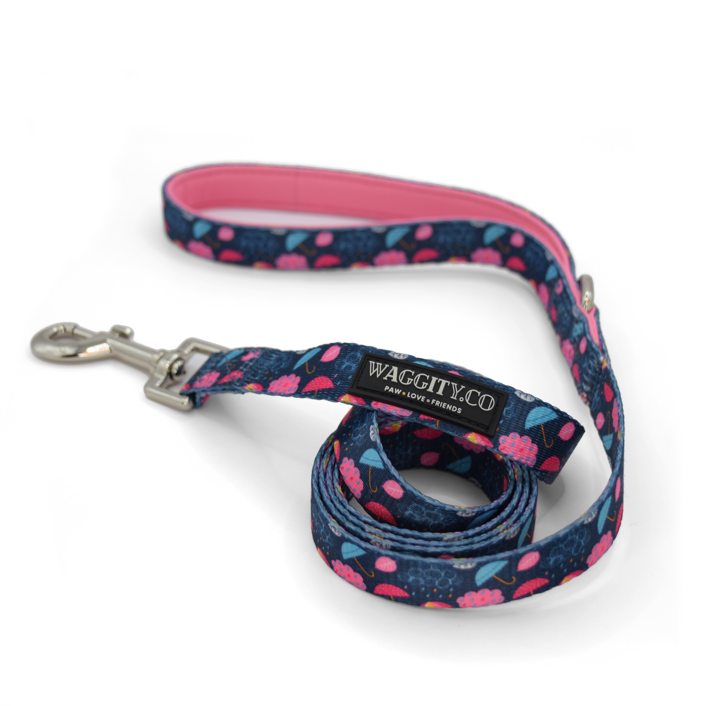 Rain, Rain, Go Away Leash