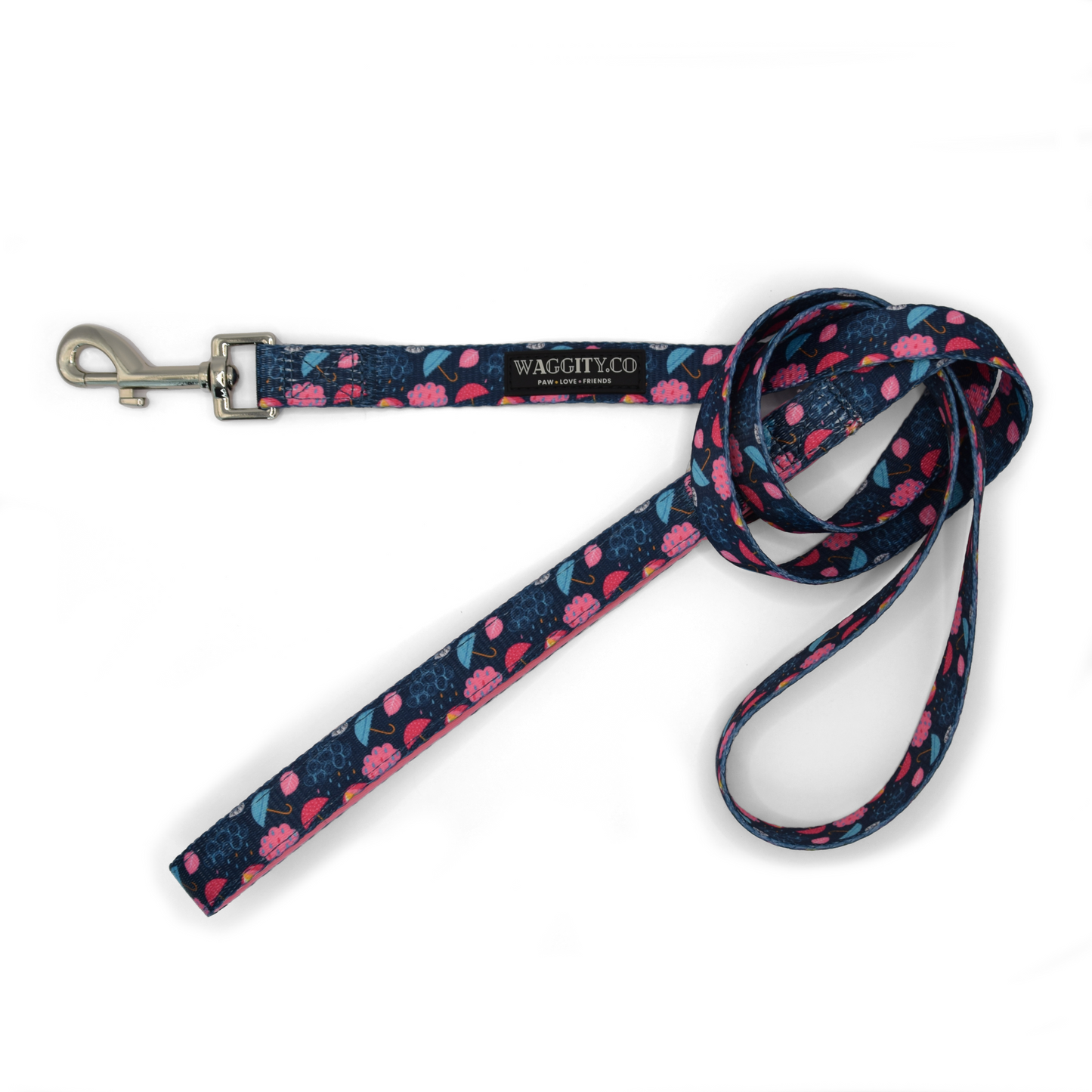 Rain, Rain, Go Away Leash