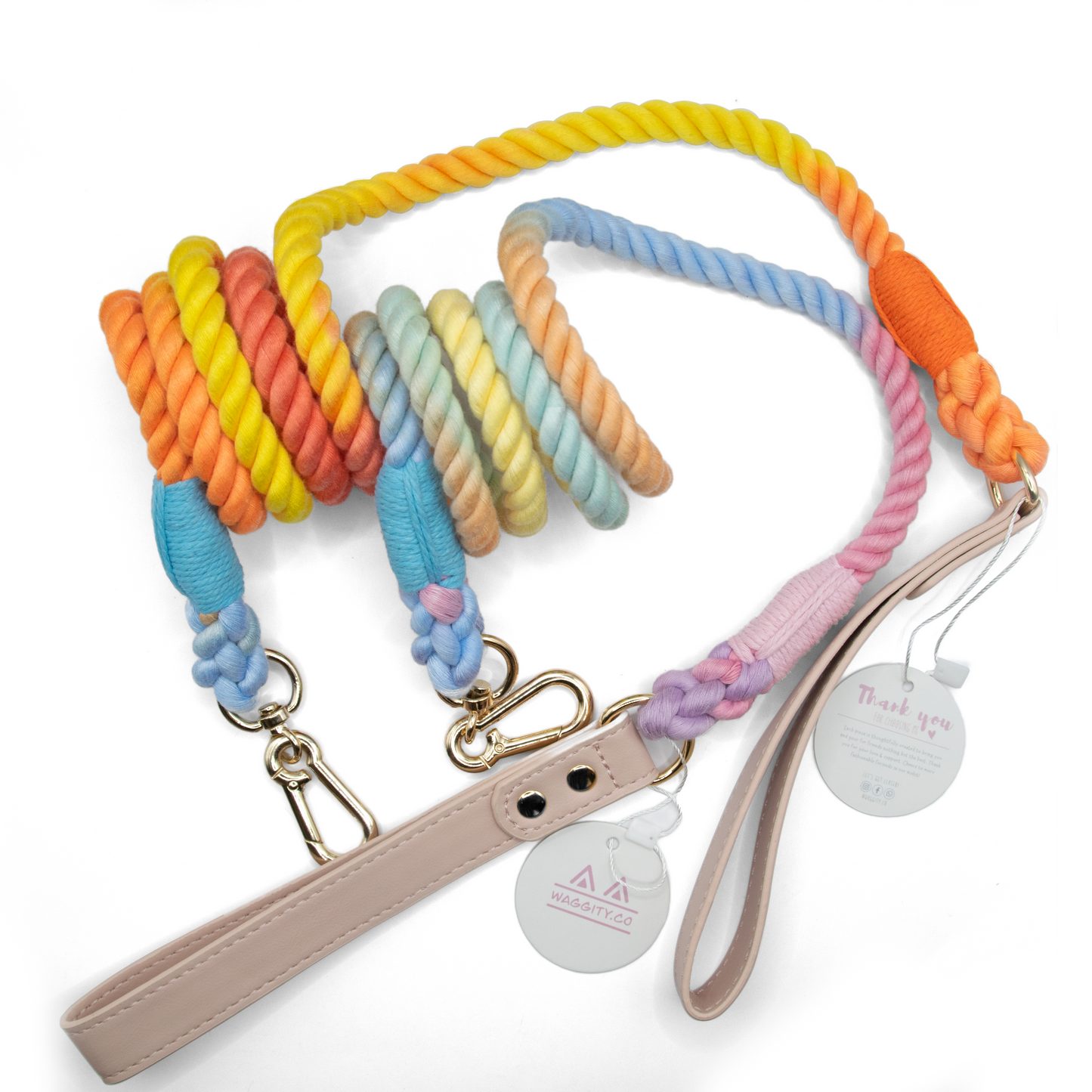 Ombre Rope Leash Bundle