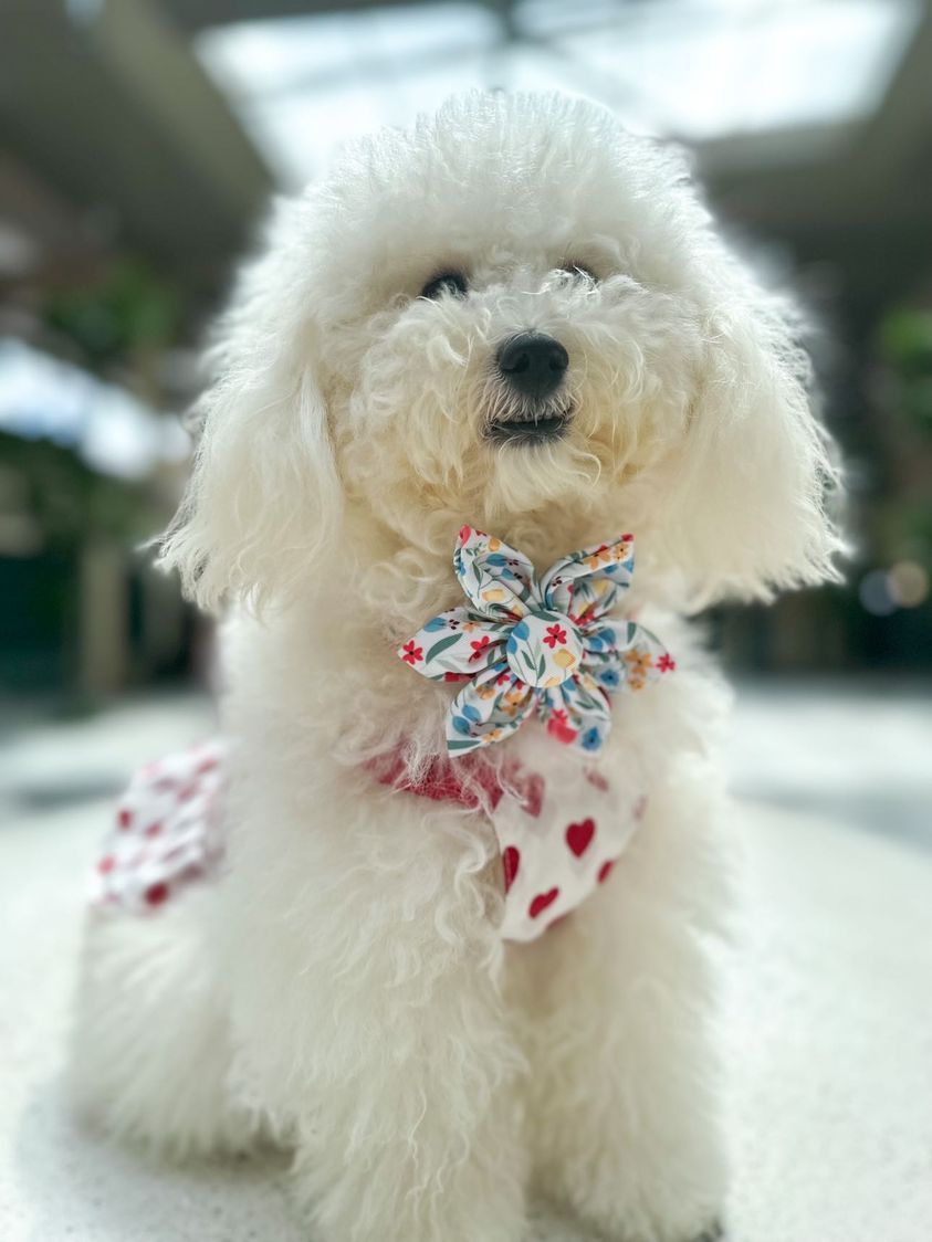 Hello Sunshine Flower Bow
