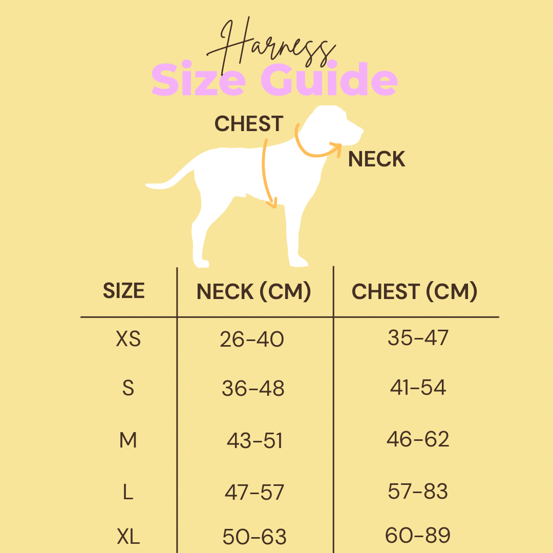 [XS] Harness and Leash Bundle