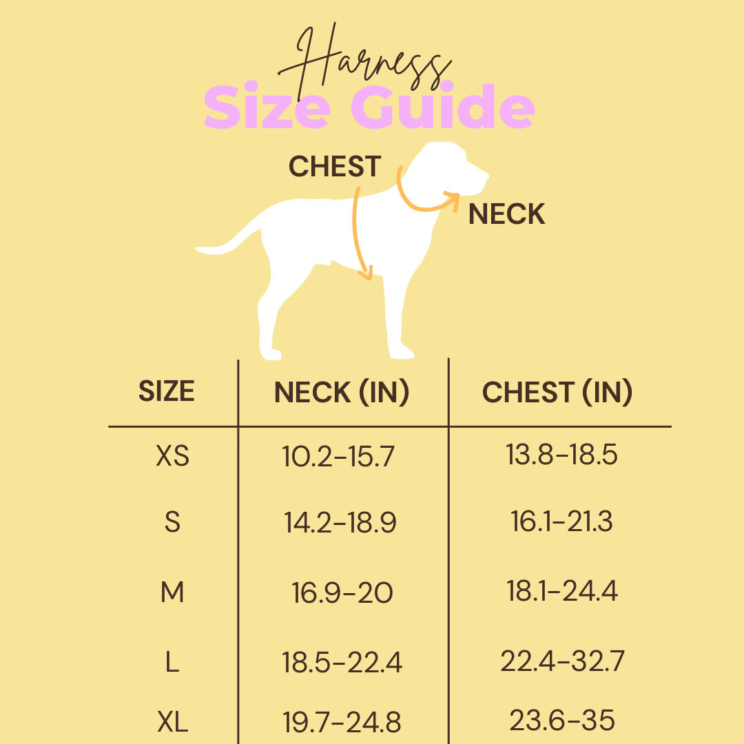 [XS] Harness and Leash Bundle