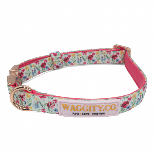 Hello Sunshine Collar