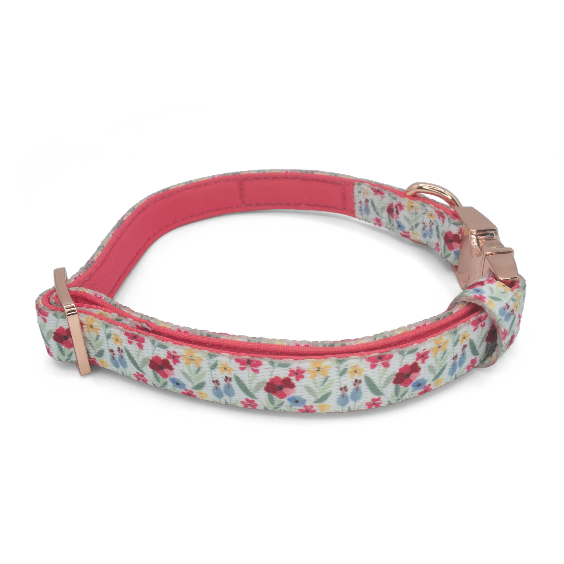 Hello Sunshine Dog Collar – Waggity.Co