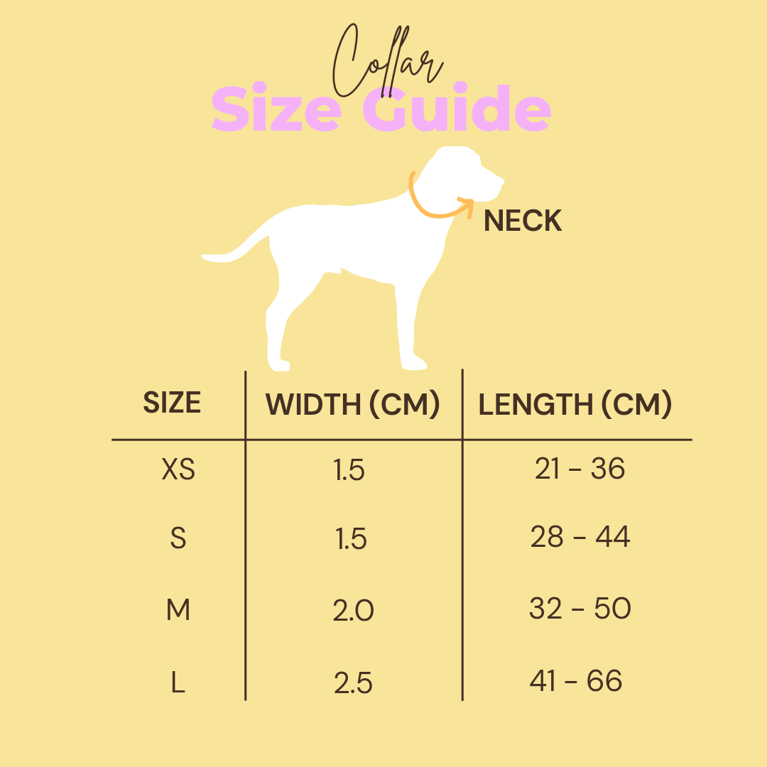 Hello Sunshine Collar