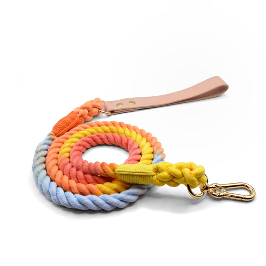 Paddlepop Ombre Rope Leash