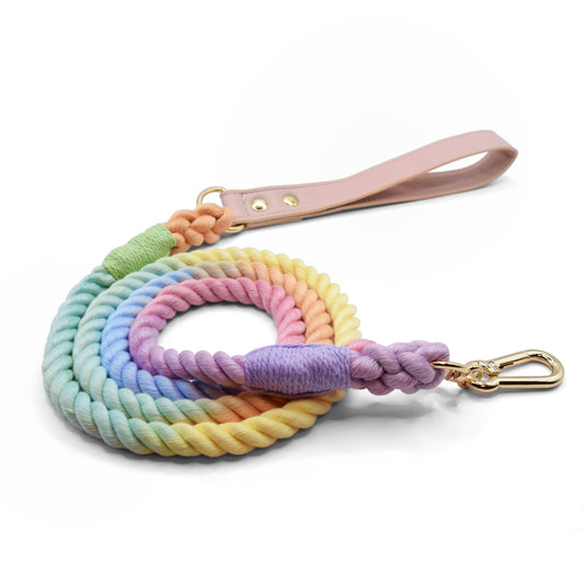 Rainbow Hue Ombre Rope Leash