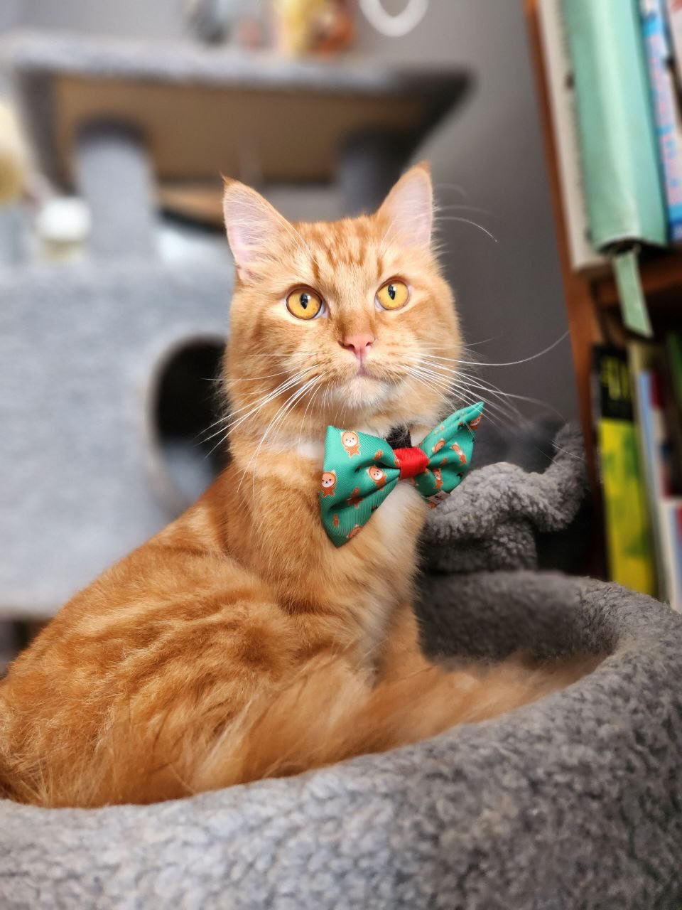 Gingerbread Paw